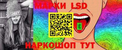 шишки Заволжье