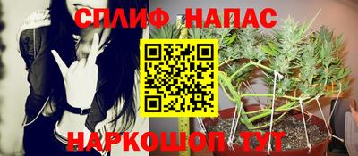 крисы Заводоуковск