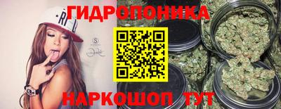 крисы Заводоуковск