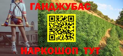 шишки Заволжье