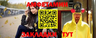 шишки Заволжье