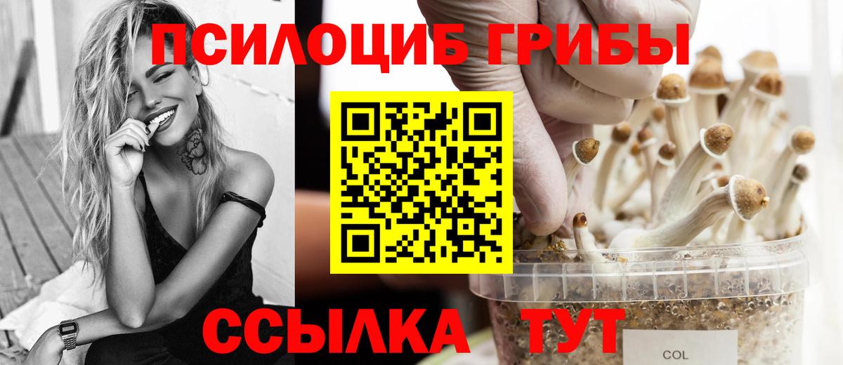 Галлюциногенные грибы мухоморы Луховицы